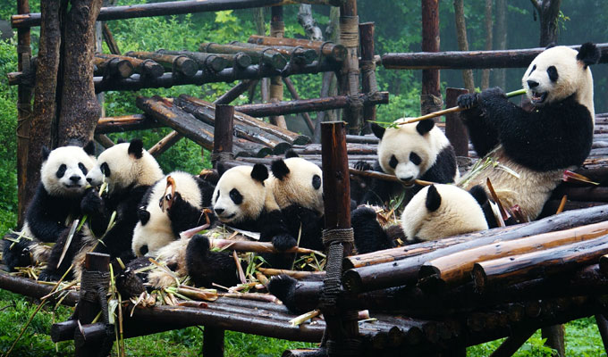 Chengdu