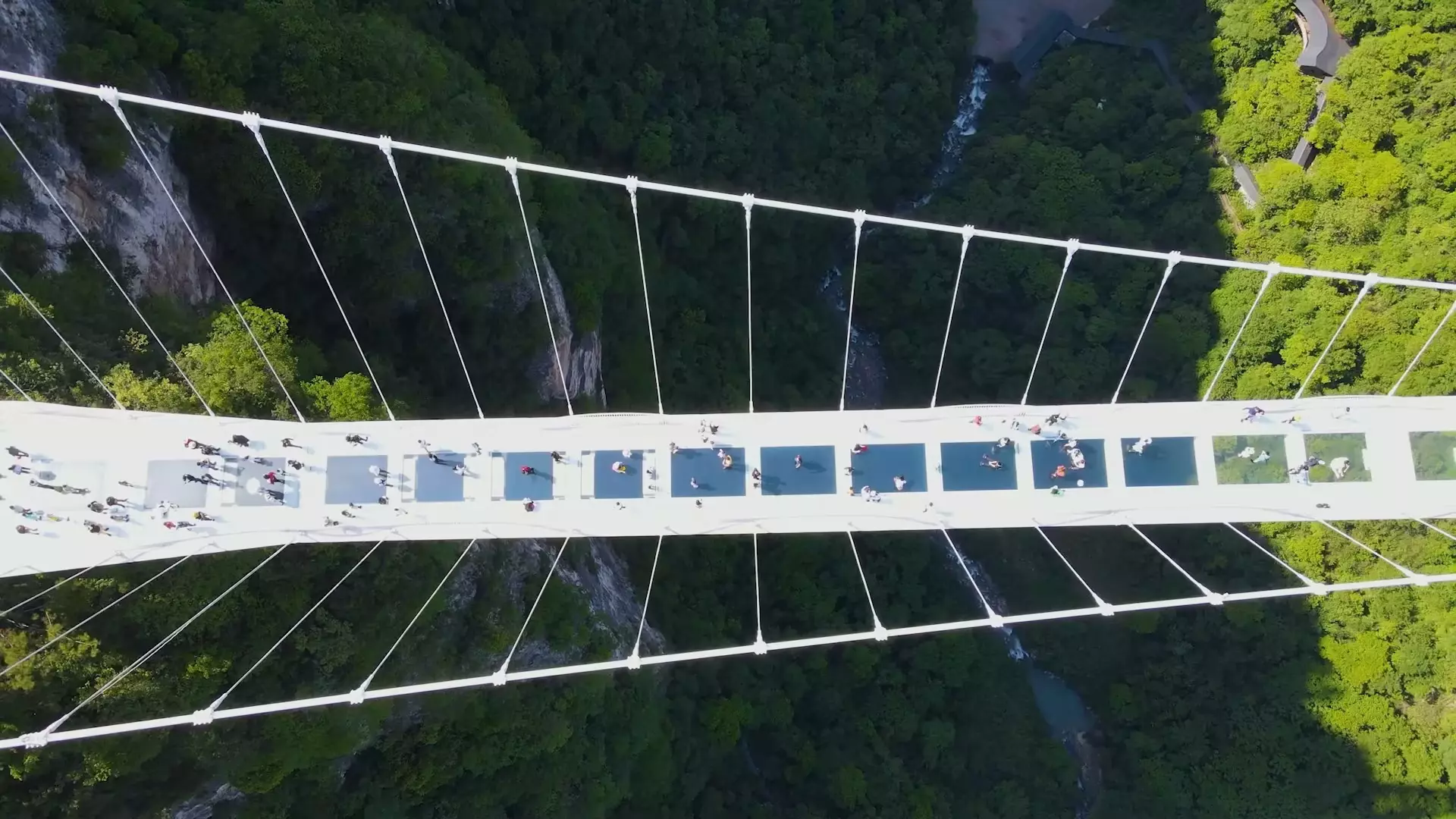 Zhangjiajie Grand Canyon Glass Bridge private visit
