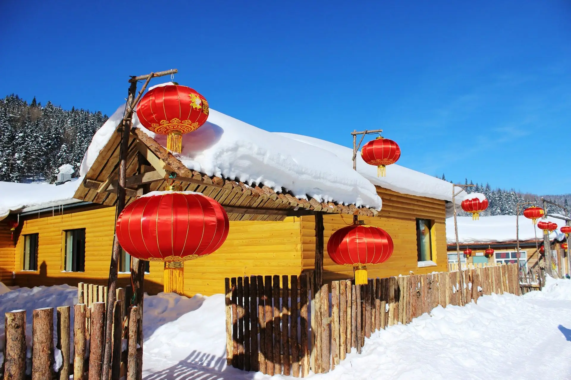 5-Day Harbin and China Snow Town Tour