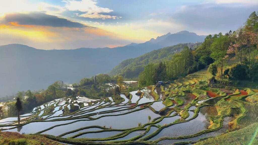 Yuanyang Rice Terraces