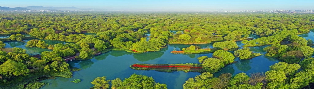 Xixi National Wetland Park tours