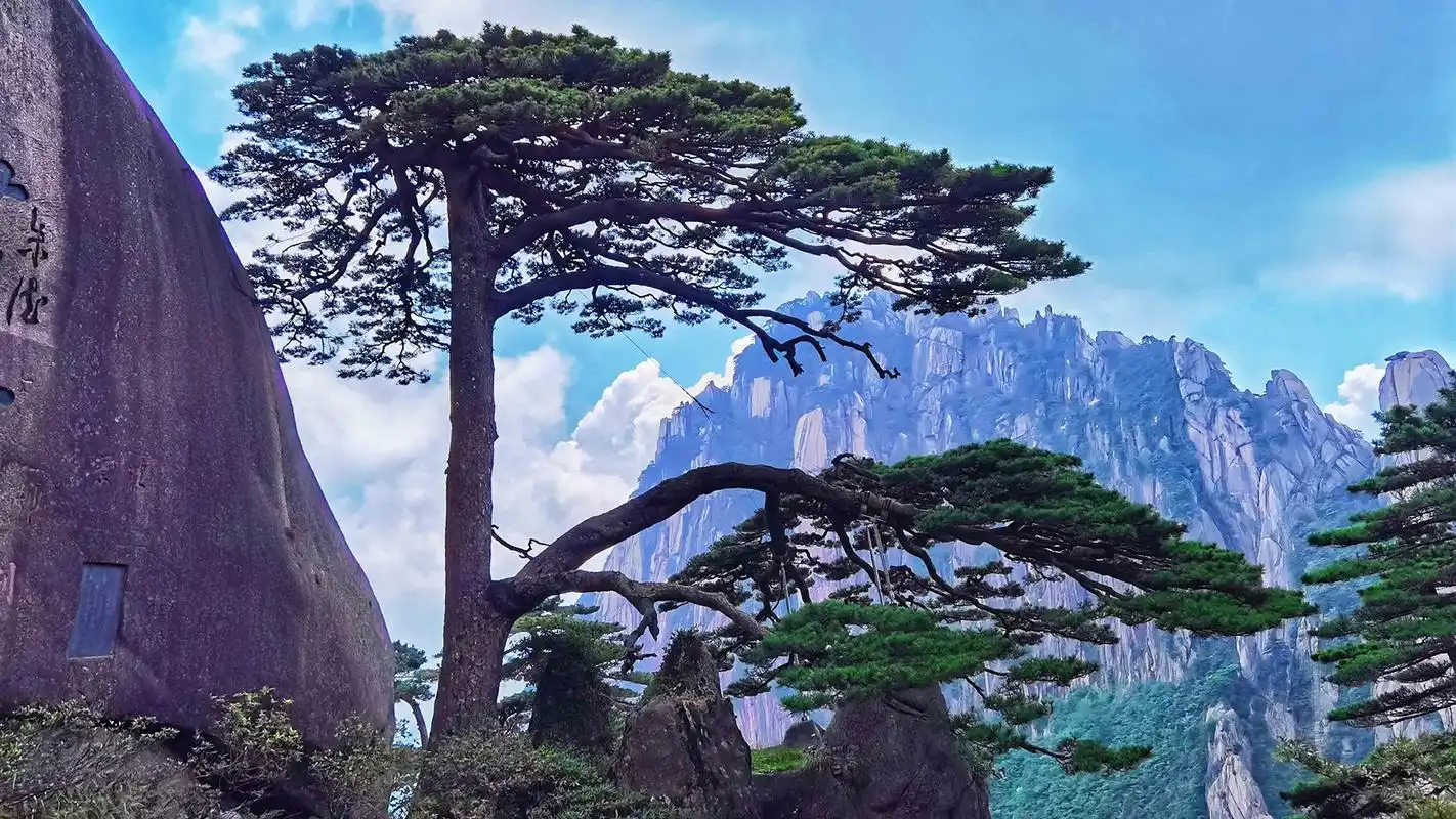 appreciate the beauty of Huangshan