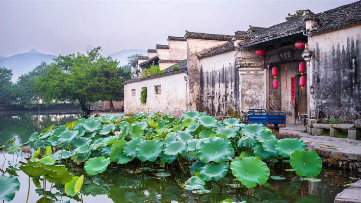 Half-Day Tour to the Ancient Village of Hongcun in Huangshan