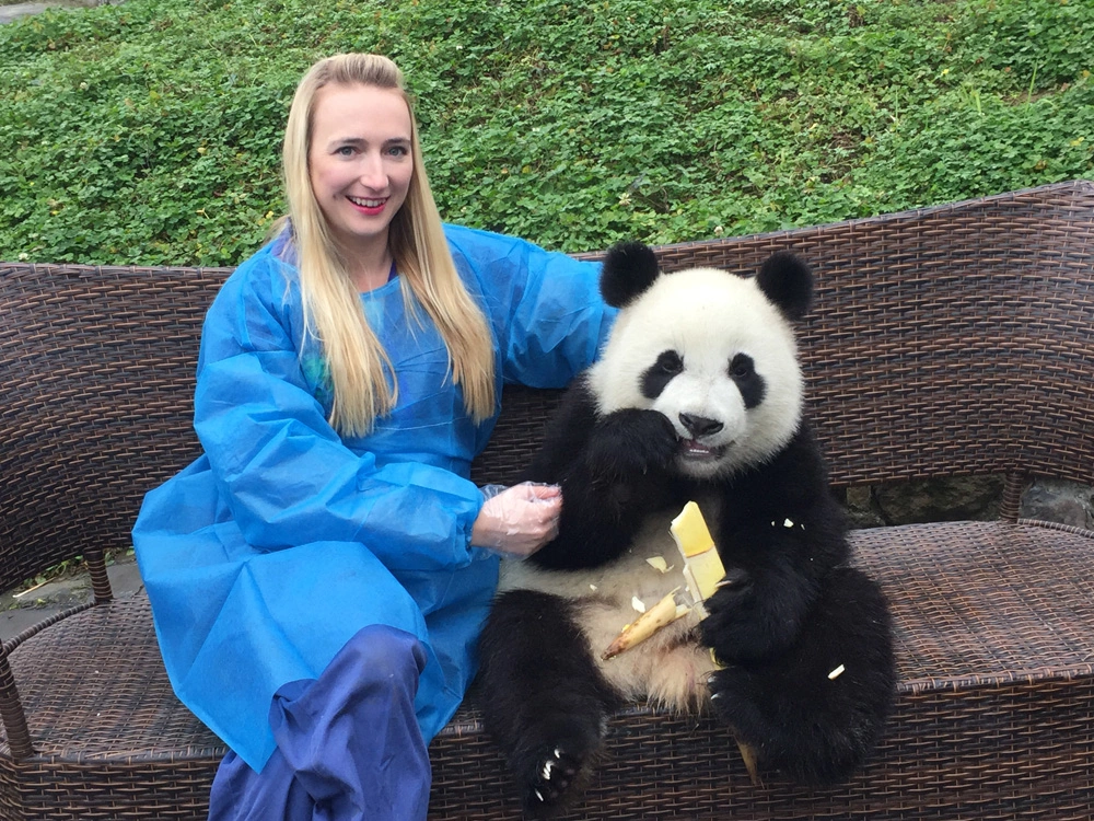 Panda tour in Chengdu with private English-speaking guide