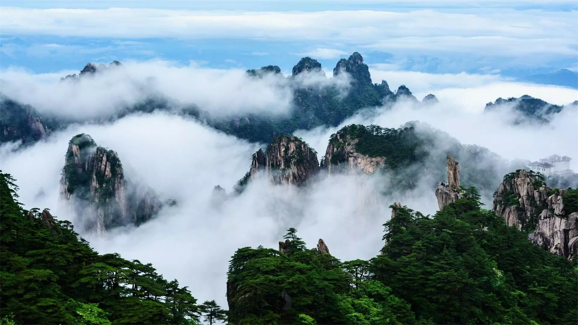 Sea of clouds at Tianzi Mountain sunrise private tour