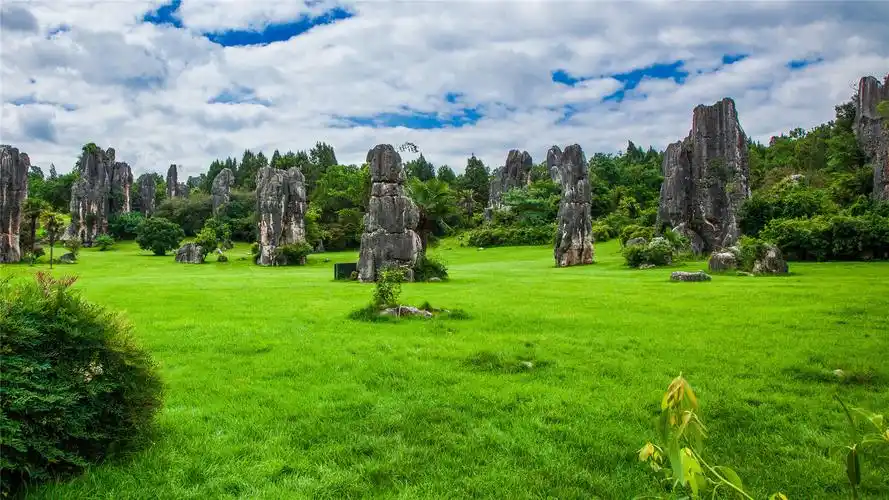 the Stone Forest