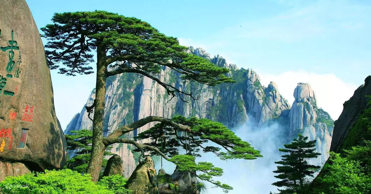 Huangshan Private Tour