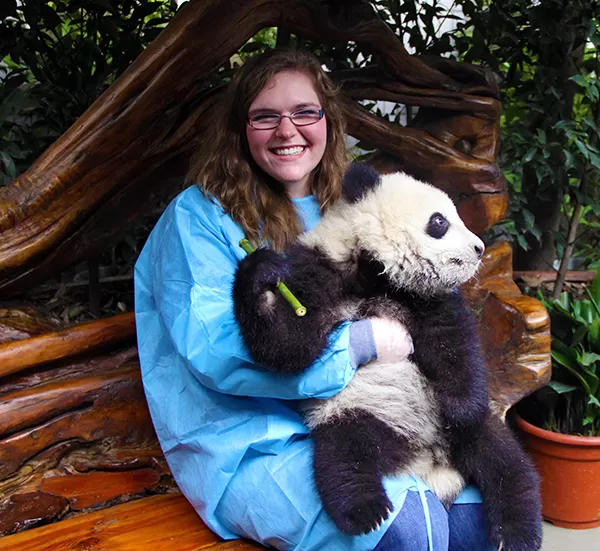 Where to hug a panda in China?