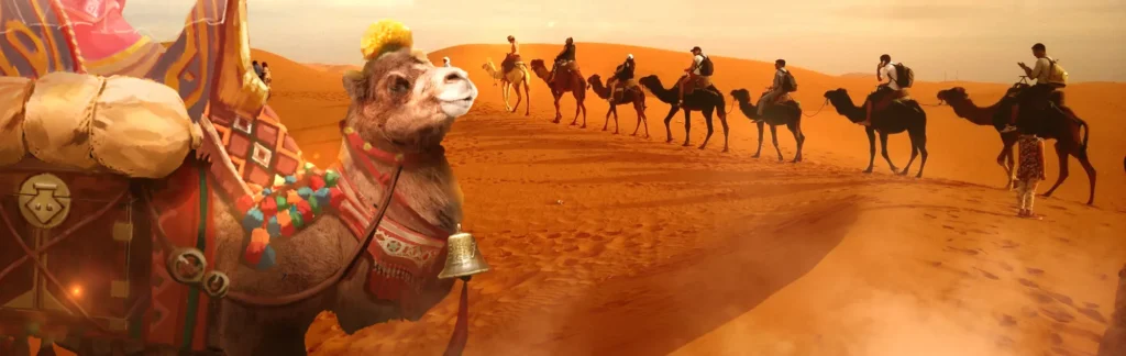 Is Silk Road Worth Visiting?