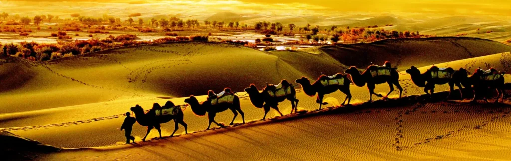 How much does it cost to travel the Silk Road?