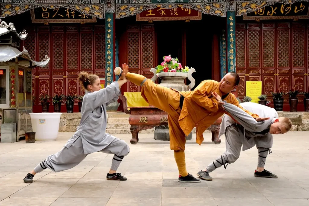 A Guide to Chinese Martial Arts Styles