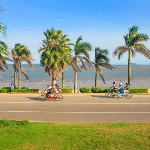 Xiamen Day Tour: Xiamen City Highlights & Gulangyu In-depth Exploration