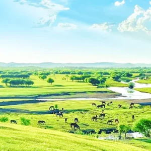 6 Days Best Hulunbuir Tour: Grassland, Wetland, Lake & Border Culture