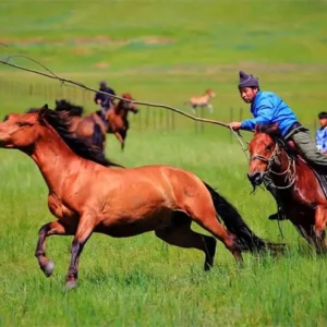6 Days Best Hulunbuir Tour: Grassland, Wetland, Lake & Border Culture