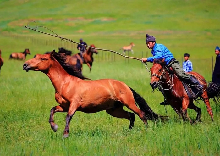 6 Days Best Hulunbuir Tour: Grassland, Wetland, Lake & Border Culture