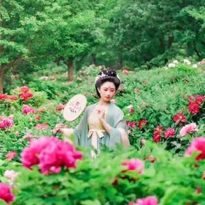 4 Days Henan Discovery Tour: Kaifeng, Luoyang & Shaolin Temple