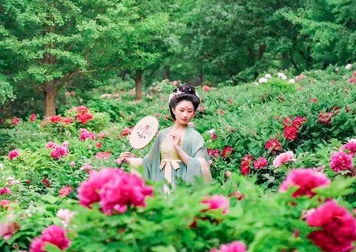 4 Days Henan Discovery Tour: Kaifeng, Luoyang & Shaolin Temple