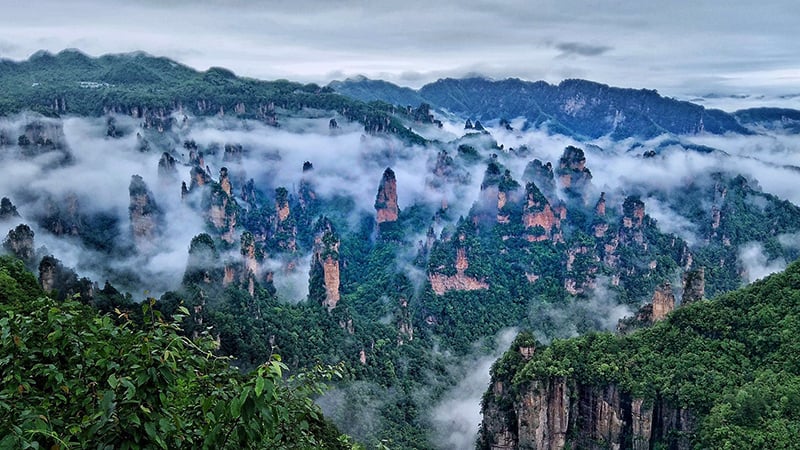 Avatar-like pillars in early morning mist at Zhangjiajie National Forest Park.
