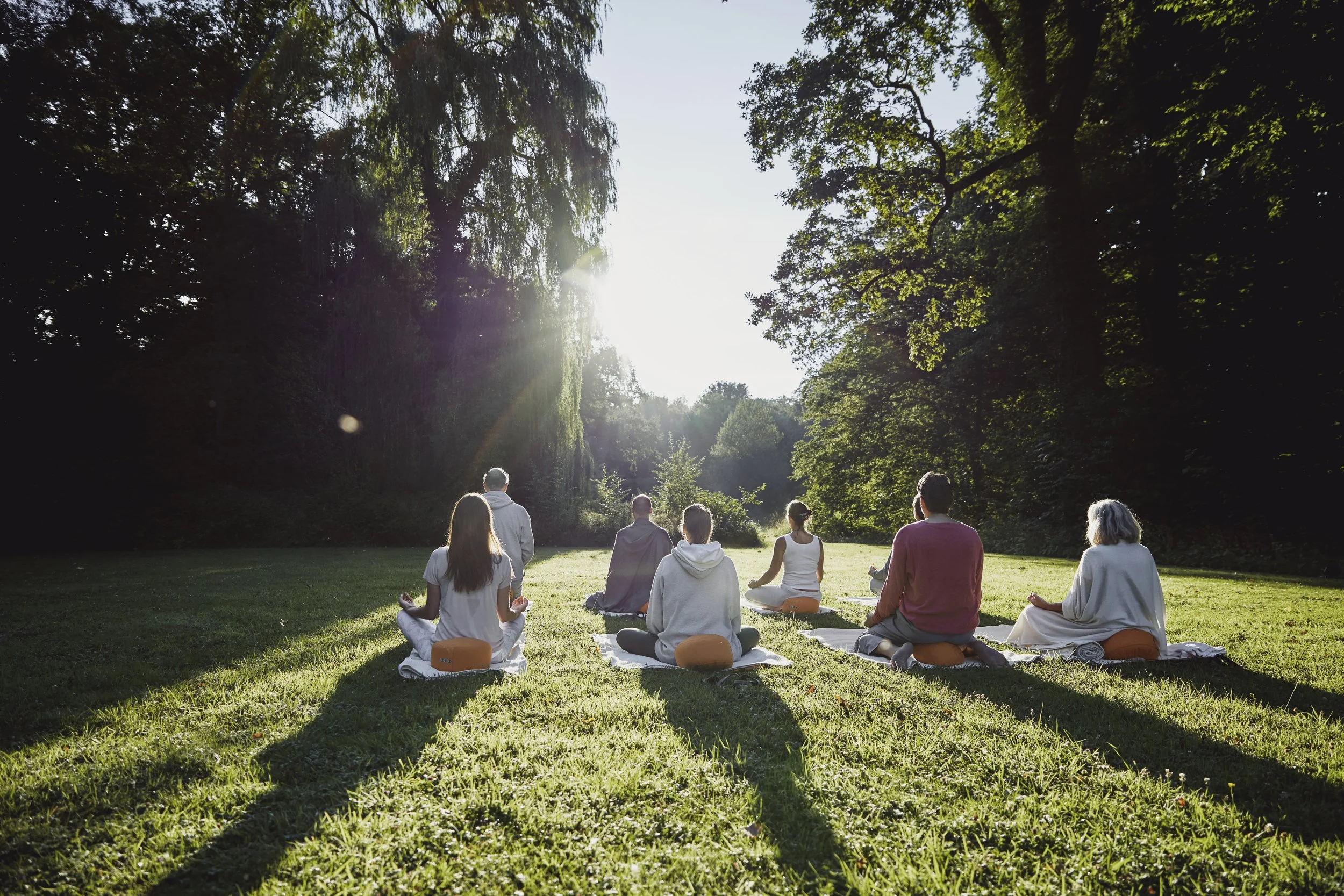 Traditional Chinese Medicine wellness retreat