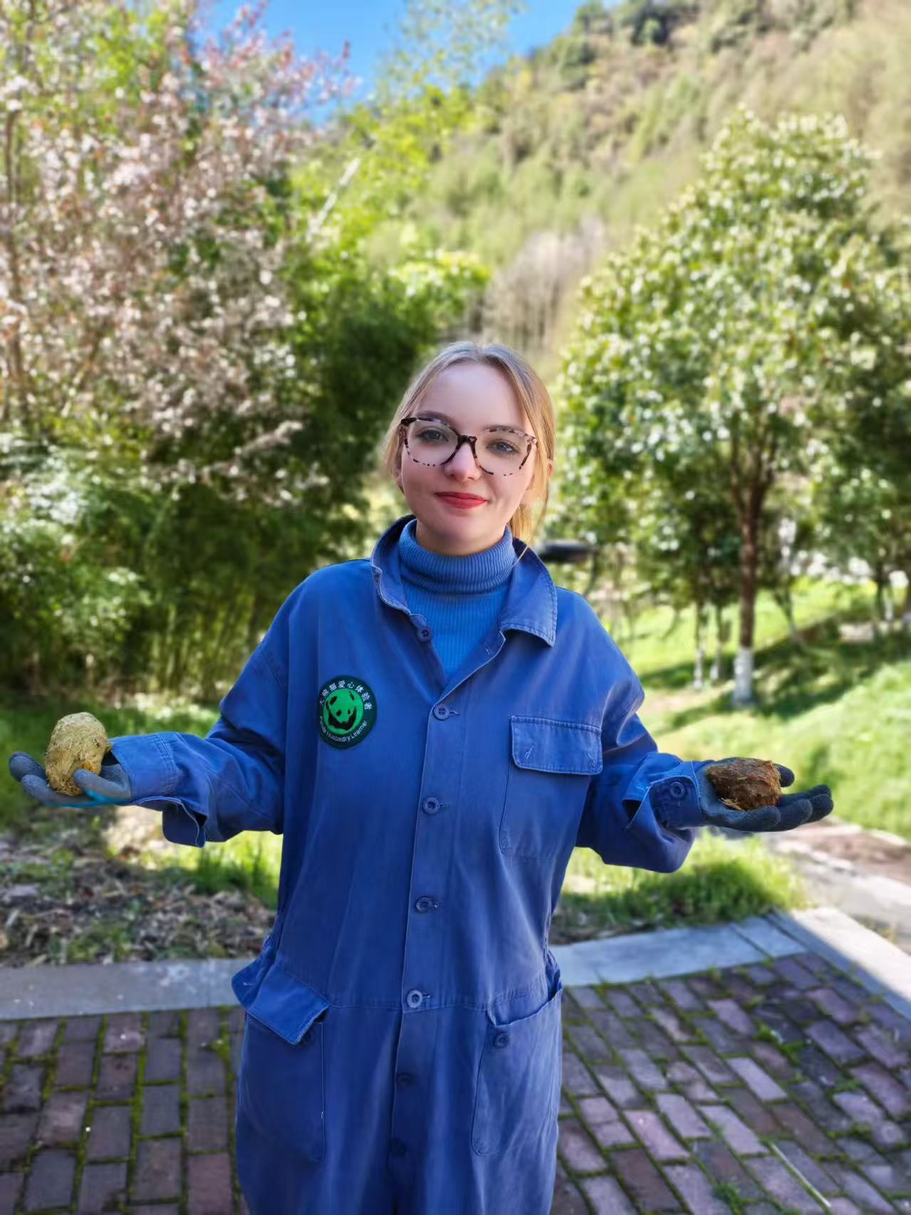 Volunteer preparing bamboo for giant pandas