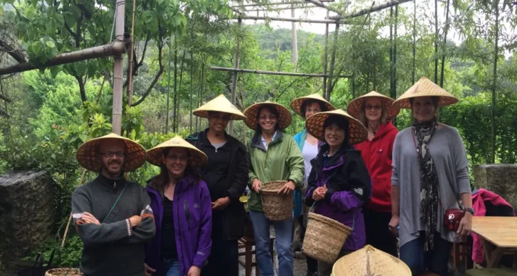 Longjing Tea Garden