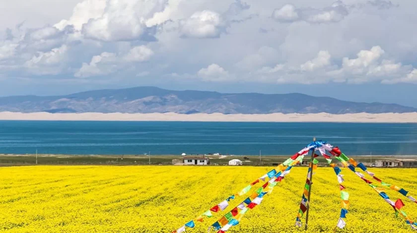 qinghai