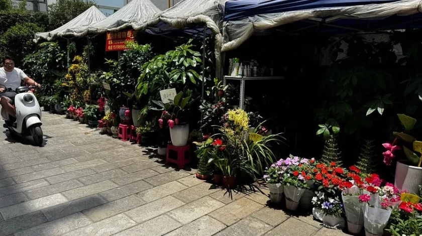 Kunming Bird and Flower Market