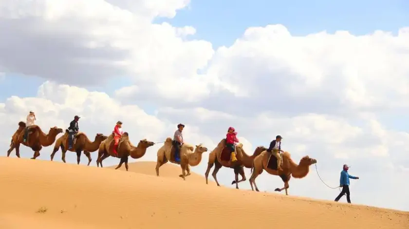 Camel Riding