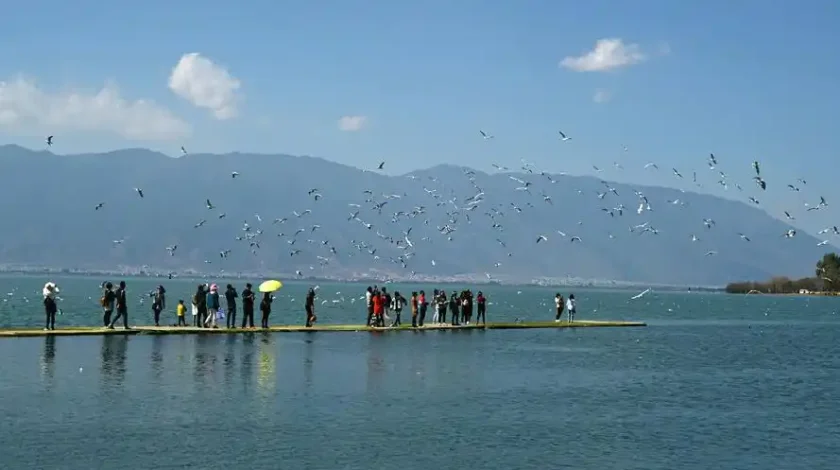 Cycling along the lake