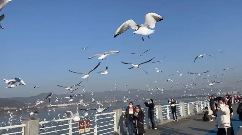 Dianchi Lake