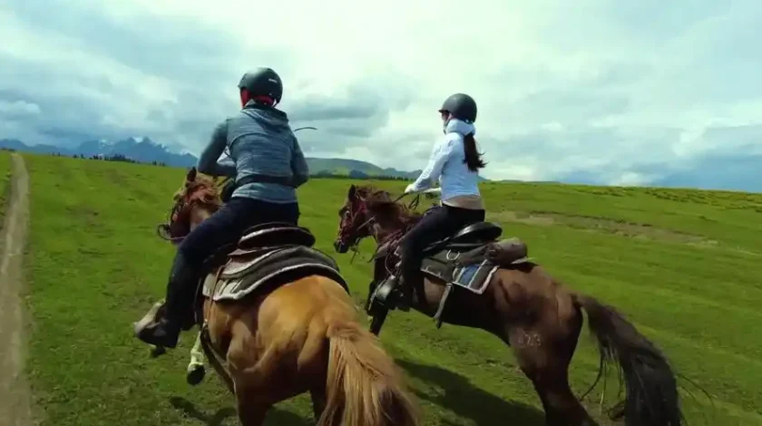 Explore the grasslands on horseback