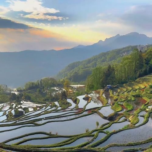 Yuanyang Rice Terraces