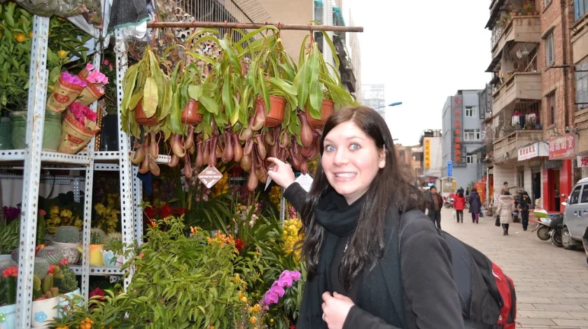 Kunming Bird and Flower Market