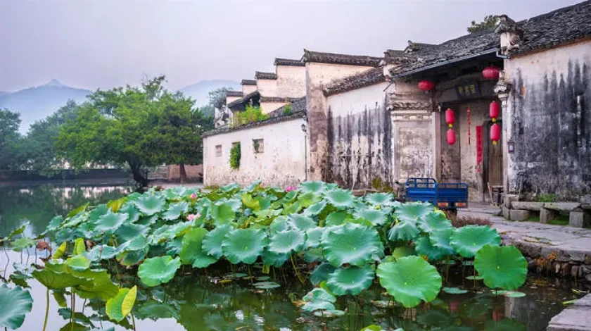 Hongcun In-depth Tour