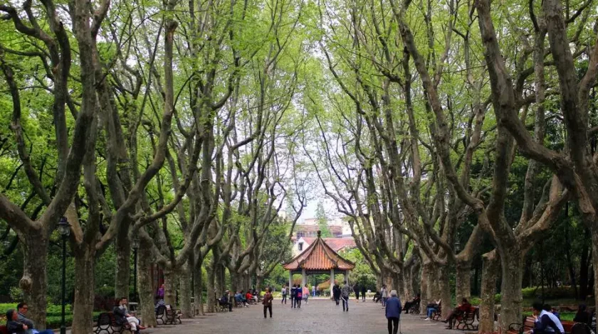 3-Hour Walking Tour of Shanghai's French Concession