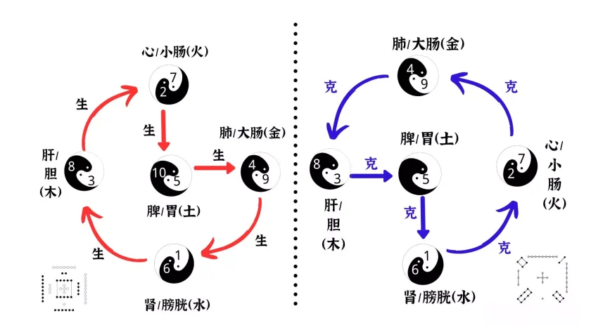 Traditional Chinese Medicine