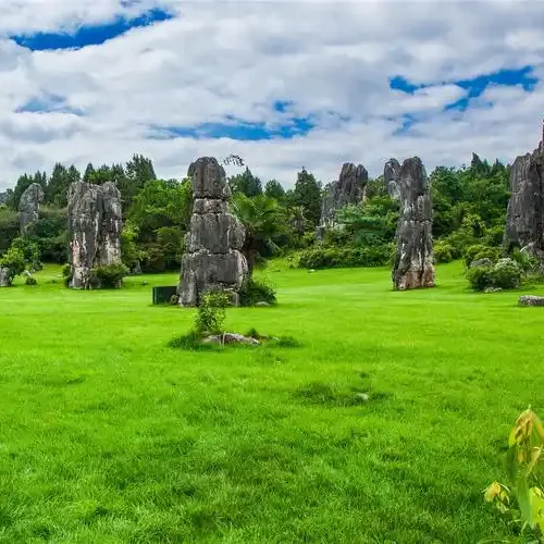 the Stone Forest