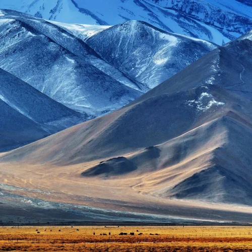 7-Day Xinjiang Highlights Tour