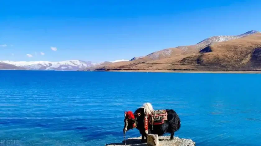 Yamdrok Lake